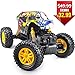 DOUBLE E RC Car Remote Control Monster Truck Dual Motors 2 Rechargeable Batteries 4WD Off Road Truck Rock Crawler for Boys Girls Kids Adults