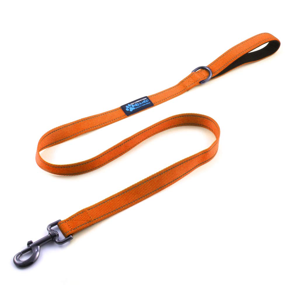 Max and Neo Small Dog Leash - Reflective Nylon, Donates to Dog Rescue (Orange, 4x5/8)