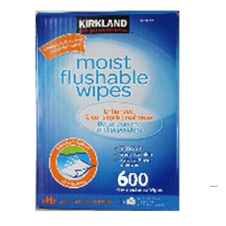 kirkland flushable wipes amazon