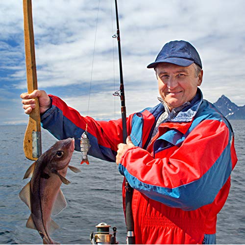 Dr.meter Angelköder, 9,9 cm, mehrgliedrige Swimbaits langsam sinkende bionische Schwimmköder, 6 Segmente, lebensechte… – Bild 7