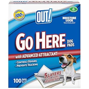 OUT! Go Here Absorbent Pet and Puppy Training Pads |100 Pads
