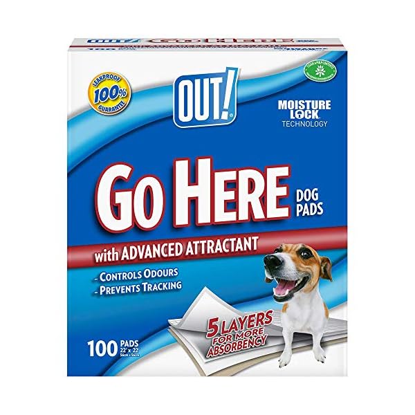 OUT! Go Here Absorbent Pet and Puppy Training Pads |100 Pads