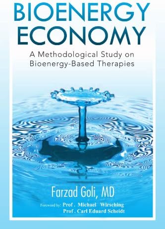 Bioenergy Economy: A Methodological Study on Bioenergy-Based Therapies Paperback – 16 Aug 2010