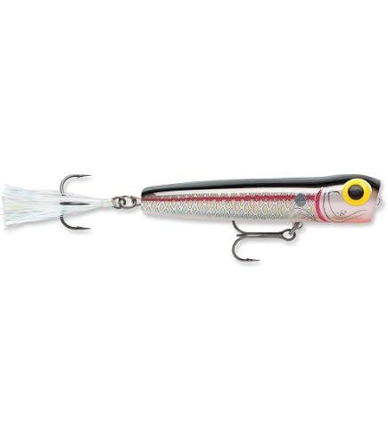 Storm CB081301 1/4-Ounce 2-1/2-Inch Chug Bug Fishing Lure, Bleeding Tenn Shad Finish, Multi, One Size : Fishing Topwater Lures And Crankbaits : Sports & Outdoors