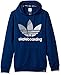 adidas Originals Men's Skateboarding Blackbird Hoody