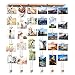 Love-KANKEI Wall Hanging Picture Photo Frames 26 by 29 Inch with 30 Wooden Clips - Wire Artworks Prints Cards Holder Organizer Collage Multi Picture Photo Display MEMORY Frame