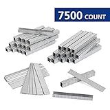 WORKPRO Heavy Duty T50 Staples and Brad Nails Combo Kit, 7500-count