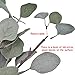 Artificial Eucalyptus Stems Leaves 6 Pcs Straight Silver Dollar Eucalyptus Leaf Silk Greenery Bushes Plastic Plants Floral Faux Greenery Stems for Party Wedding Home Decor(Grey Green)