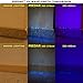 Pet Urine Detector 365NM Black Light Flashlight: PeeDar - Precision UV LED Pee Finder Tool. Locate Cat/Dog/Animal Stains. Uses: Hotel Inspection, Security Marks. 365NM–370NM Finds Invisible Urine Fast