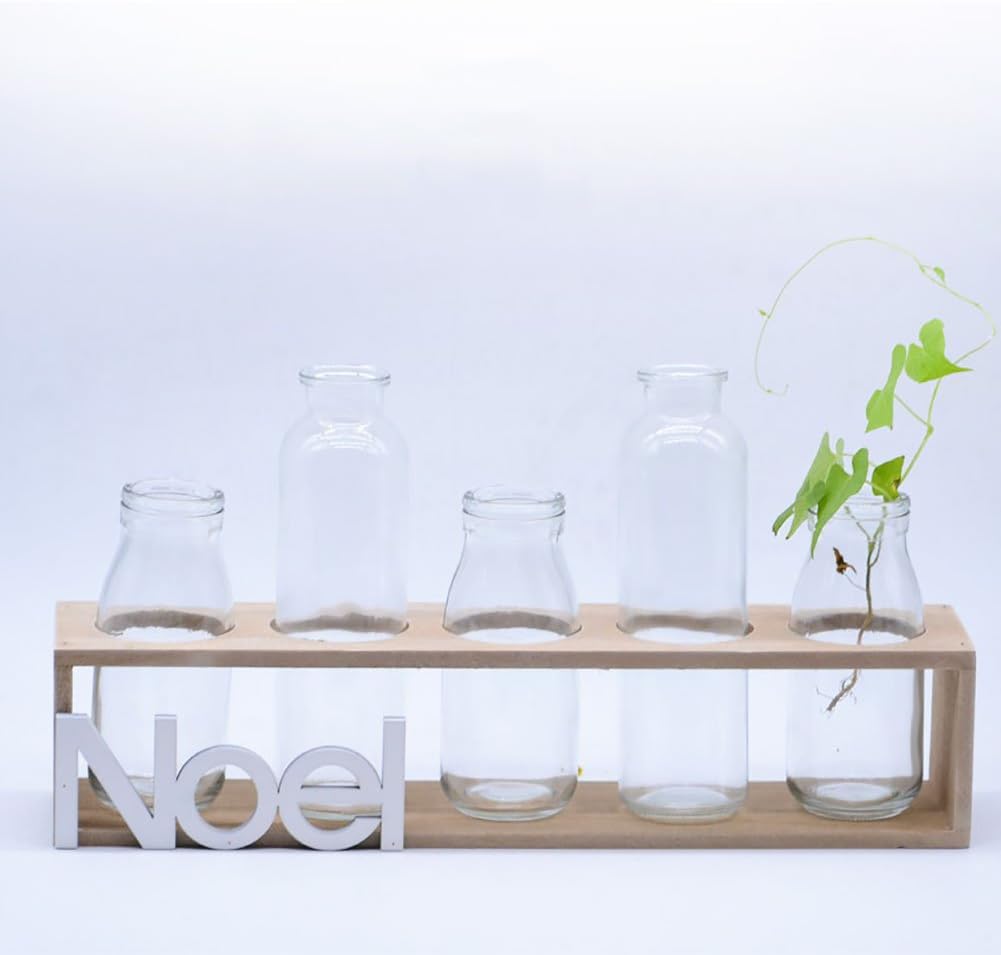 Glass Hydroponics Flower Stand ，Creativity Geometry Transparent Vase Container Hand Made Wooden Frame Desktop Flower Pot No Soil Cultivation Plant Home Gardening Flower Bracket Container Fashion Decoration Indoor Ornaments ( Size : L/5 Bottles )