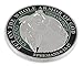 Forge Put On The Whole Armor of God EPH 6:13-17 Enamel 3D Challenge Coins (Silver Plated (1 Coin))
