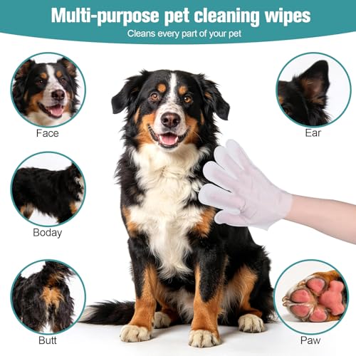 DWDHYEAN 24 Pieces Dog Washing Gloves Hypoallergenic Cleaning Gloves Pet Wipes Gloves Pet Care for Cleaning and Daily Care of Dogs and Cats