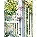 My Eco Glass Couronne Co. Florence Hanging Pendant Tube Vase with Wall Hook, M044-001, 16.5 Inch Tall, 2.7 Ounce Capacity, Clear (1)