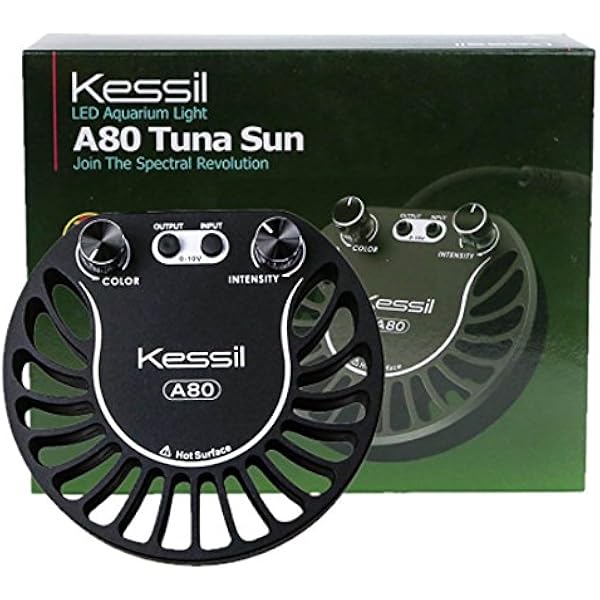 kessil a80 tuna sun