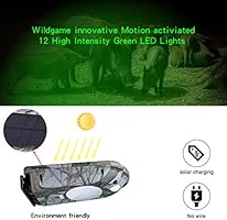 Vizzlema Feeder Hog Light Outdoor Solar Feeder Light For Hunting