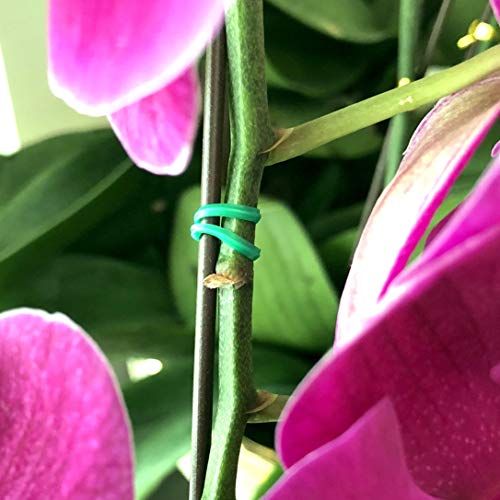 KLOUD City 328 Feet (100m) Green Multi-Function Sturdy Garden Plant Twist Tie with Cutter/Cable Tie/Zip Tie/Coated Wire (1) (1 roll Green)