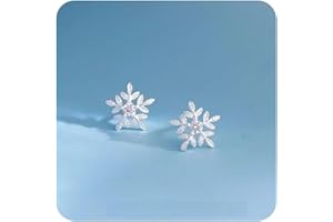 LOLVMVCHI 925 Sterling Silver Diamond Stud Earrings for Women