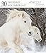 Horse Page-A-Day Gallery Calendar 2017