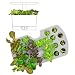 AeroGarden Seed Starting System (Harvest)