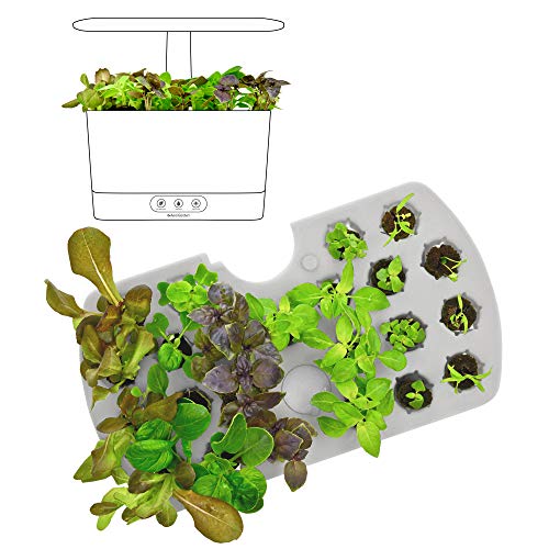 AeroGarden Seed Starting System (Harvest)
