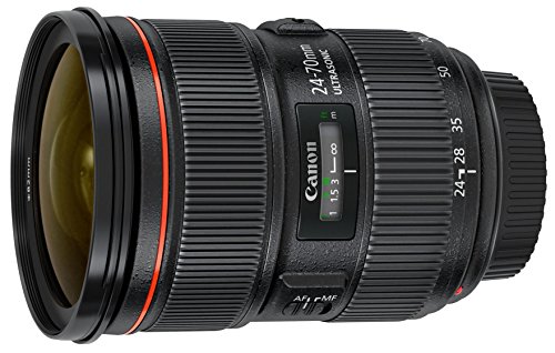 Canon EF 24-70mm F/2.8L II USM Lens