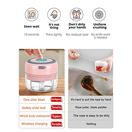 Mini Manual Food Chopper,Durable Hand Held Food Choppers and Dicers