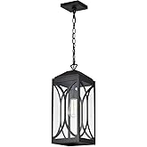 Nuvo Lighting 60/8125 Oaklyn - 1 Light Outdoor Hanging Lantern-19 Inches Tall and 7.5 Inches Wide