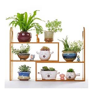 Planta Soporte de Madera Organizador Ajustable Estante de ...
