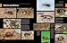 Beetles: The Natural History and Diversity of Coleoptera