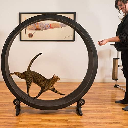 Atarstore Cat Exercise Wheel Indoor Kitty Play Toy Treadmill Training Treadwheel Black New