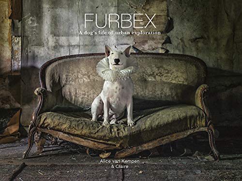 Furbex: A Dog's Life of Urban Exploration by Alice van Kempen