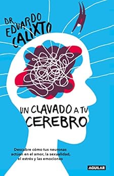 Un clavado a tu cerebro