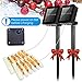 AMIR Solar Powered String Lights, Mini 100 LED Copper Wire Lights, Starry String Lights, Indoor Outdoor Waterproof Solar Christmas Decoration Lights for Gardens, Home, Dancing, Party (Warm White)