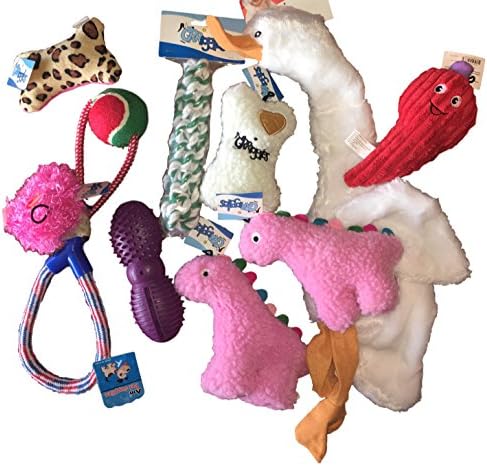 The Extreme Dog Chew Toy 10-Item Bundle: (Fifi)