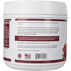 Nitrolithic Labs Nitric Oxide Drink Powder