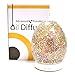 Advanced Pure Air Oil Diffuser 'Ceramic Glass Egg' 120ml | Essential Oil Diffuser for Home Humidifier | Ultrasonic Scent/Aromatherapy Mist Diffuser with 8 LED Light Options | 4 Adjustable Mist Mode