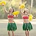 KEFAN Leaf Hula Skirt and Hawaiian Leis Set Grass Skirt with Artificial Hibiscus Flowers for Hula Costume Party (A)