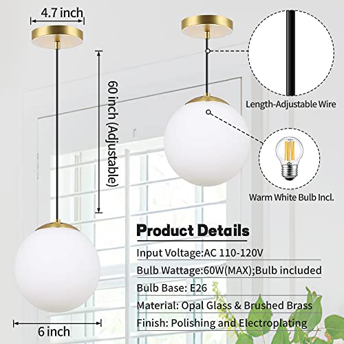 KoKo&Yukina 6" Modern Globe Pendant Light – Clear Glass With Brass Finish, Adjustable Cord (Bulb Included) - View #8