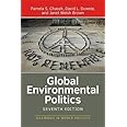 Global Environmental Politics (Dilemmas in World Politics)