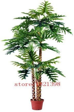 Hot Selling!!! Rare 60pcs 10kinds mix Philodendron seeds, vine leaf, indoor plants Anti Radiation Absorb dust tree seeds