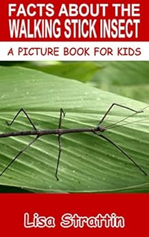 Download Facts About The Walking Stick Insect (A Picture Book For Kids 80) - Kindle edition by Lisa ...