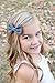 3 Pack Classic Girl Bows On Alligator Clips (Small, Chambray/Tan/Purple Floral)