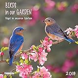 Birds in Our Garden 2019 (WONDERFUL WORLD) by 