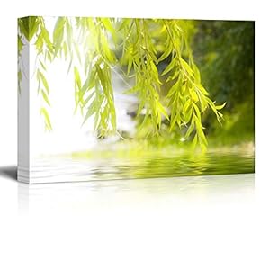 Tree Framing a Serene Lake - Canvas Art Home Art - 12x18 inches