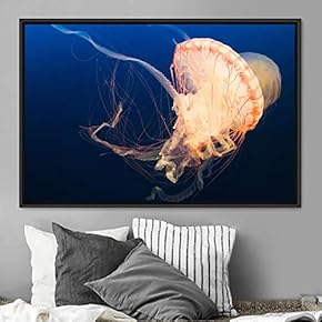 signwin Framed Canvas Wall Art Jellyfish Floating Colorful...