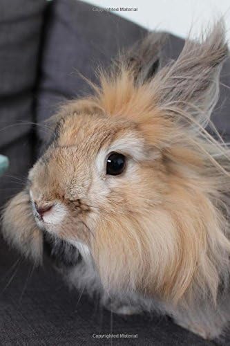 Angora Rabbit Journal: 150 page lined notebook/diary