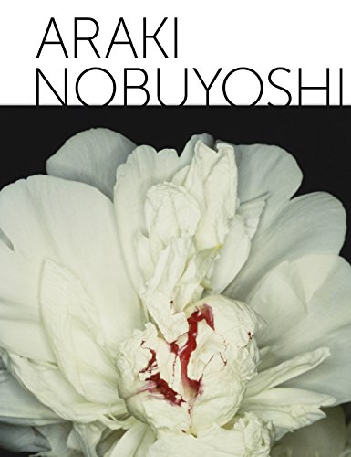 Download ARAKI NOBUYOSHI