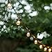 LampLust 50 Ft Outdoor String Lights - Commercial Grade Light Strand with 24 Edison Bulbs, Waterproof for Outdoor Lighting, ST14 Bulbs Included, Connectable, Dimmable, ETL Listed