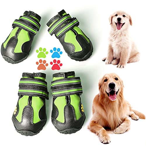 The Best Dog Shoes Dogtime
