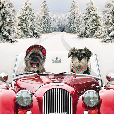 Charity Christmas Cards Box of 20 - Festive Driving Dogs - 10 Cards Each of 2 Designs - Made in the UK - Eco-Friendly
